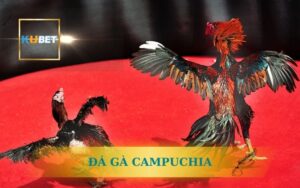 TRỰC TIẾP ĐÁ GÀ CAMPUCHIA KUBET